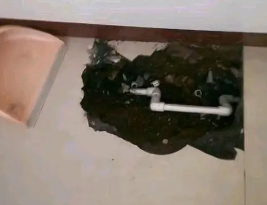 奉化卫生间测漏水多少钱